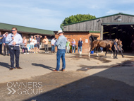 DS091023-16 - Dan Skelton stable visit